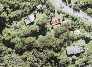 Aerial map