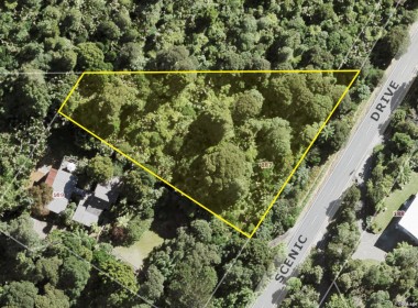 Aerial map