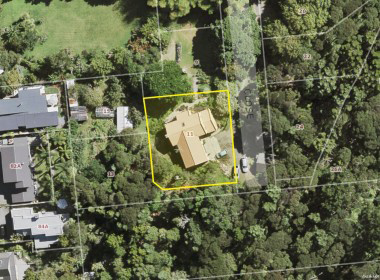 Aerial map
