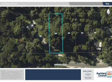 Aerial - 105 Laingholm Dr