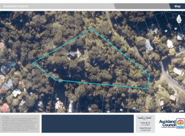 Aerial - 5 Laingholm Drive